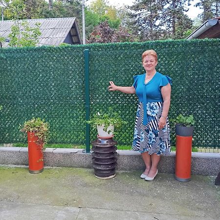 Milica Apartmani เวิร์ดนิค ภายนอก รูปภาพ