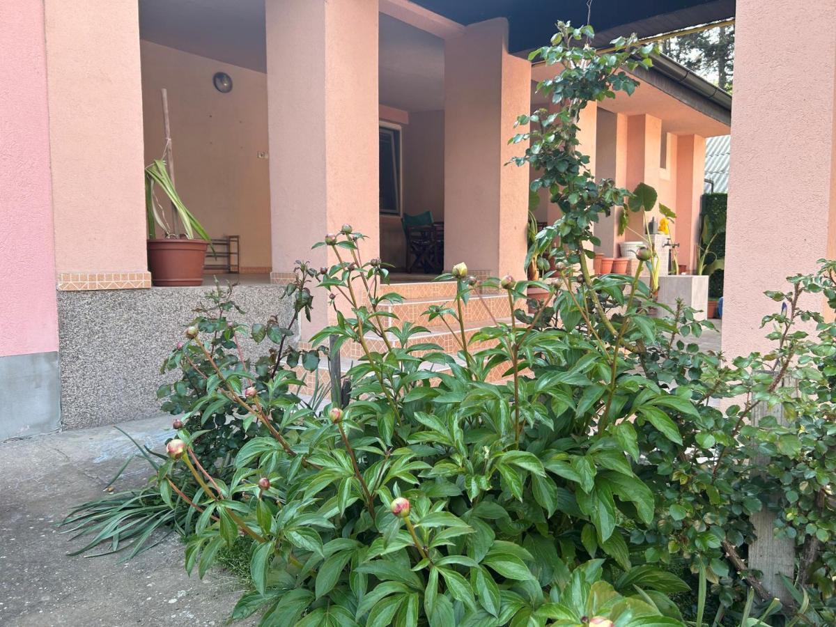 Milica Apartmani เวิร์ดนิค ภายนอก รูปภาพ