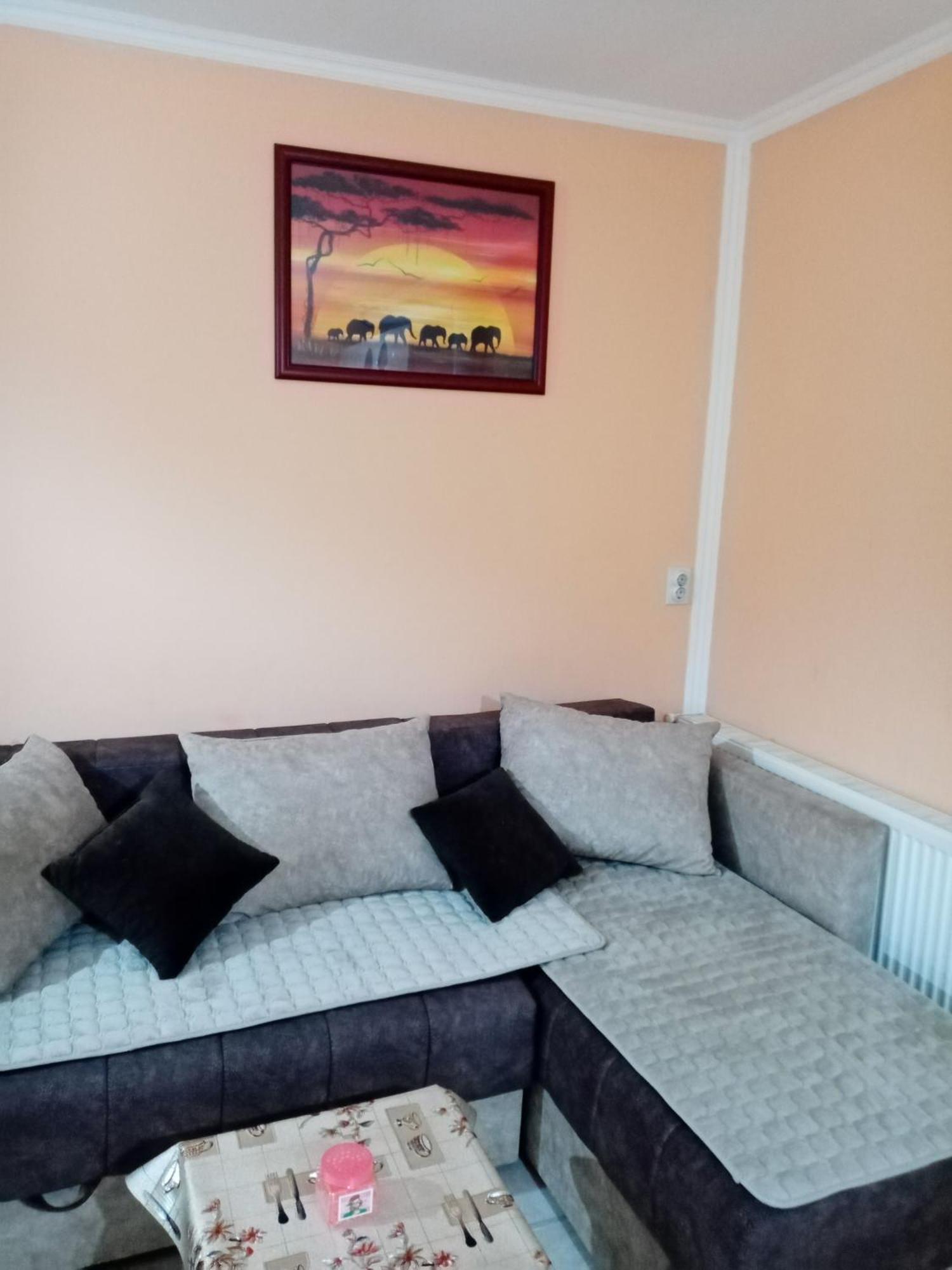 Milica Apartmani เวิร์ดนิค ภายนอก รูปภาพ