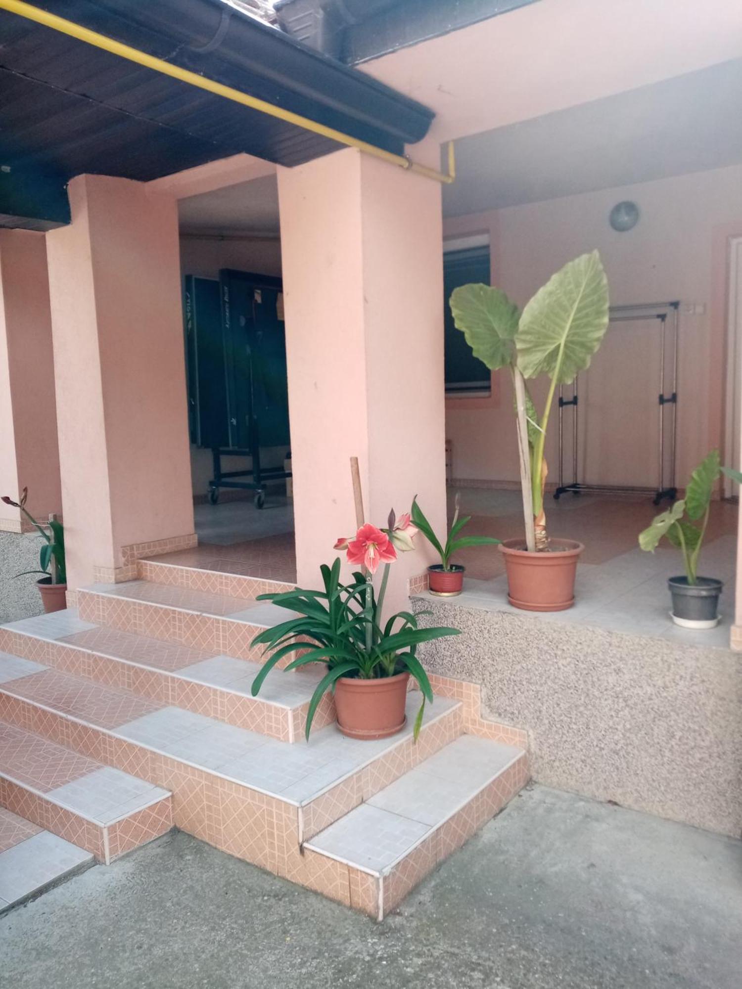 Milica Apartmani เวิร์ดนิค ภายนอก รูปภาพ