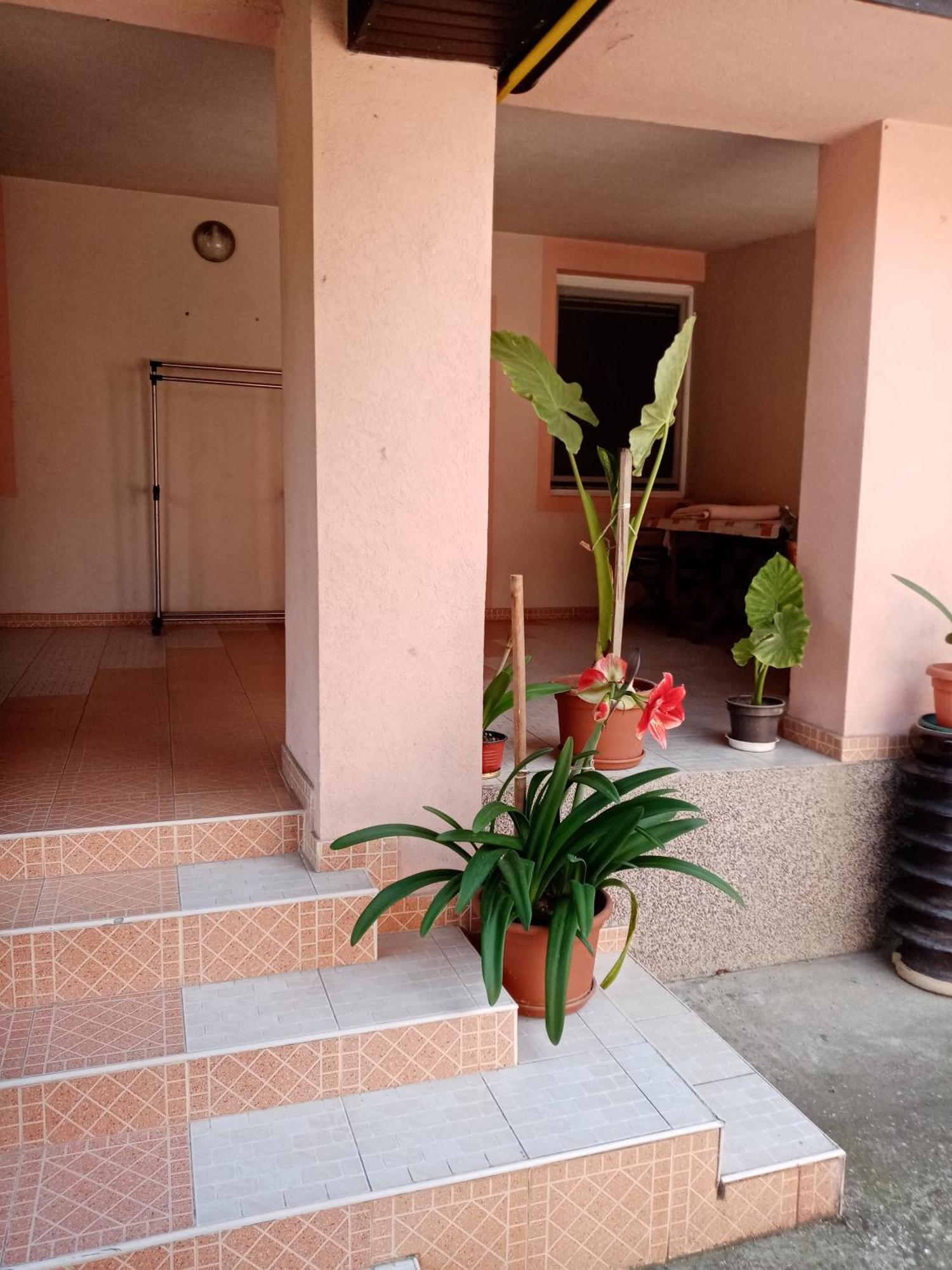 Milica Apartmani เวิร์ดนิค ภายนอก รูปภาพ