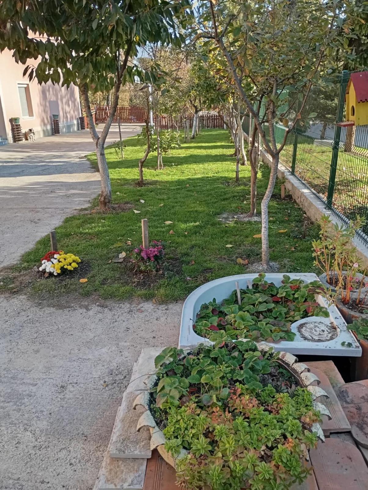 Milica Apartmani เวิร์ดนิค ภายนอก รูปภาพ